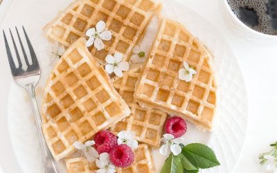 3 Ingredient Protein Waffle